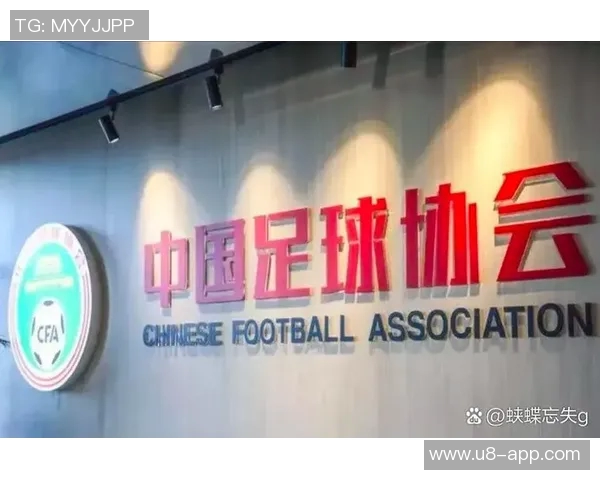 2025年泰山队主场完美收官感谢每一位支持我们的球迷朋友们