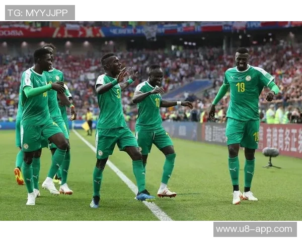 巴西世界杯历史战绩辉煌对阵非洲球队7胜1负的传奇之路